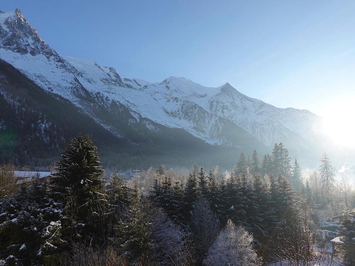 Apartamento T4 Renove Avec Vue Mont-Blanc, 4 Etoiles, Proche Centre, Parking - Fr-1-507-62 Chamonix Mont Blanc Exterior foto